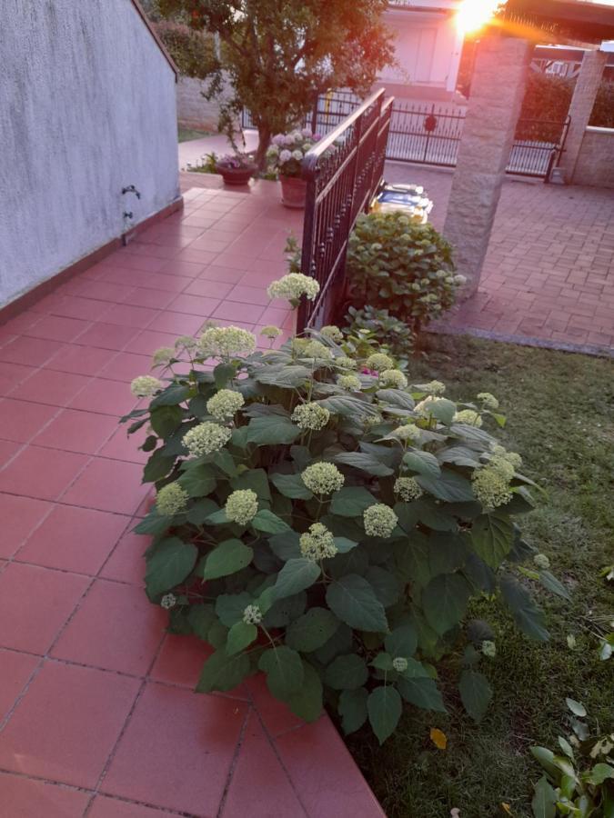 Villa Iva Poreč Eksteriør billede