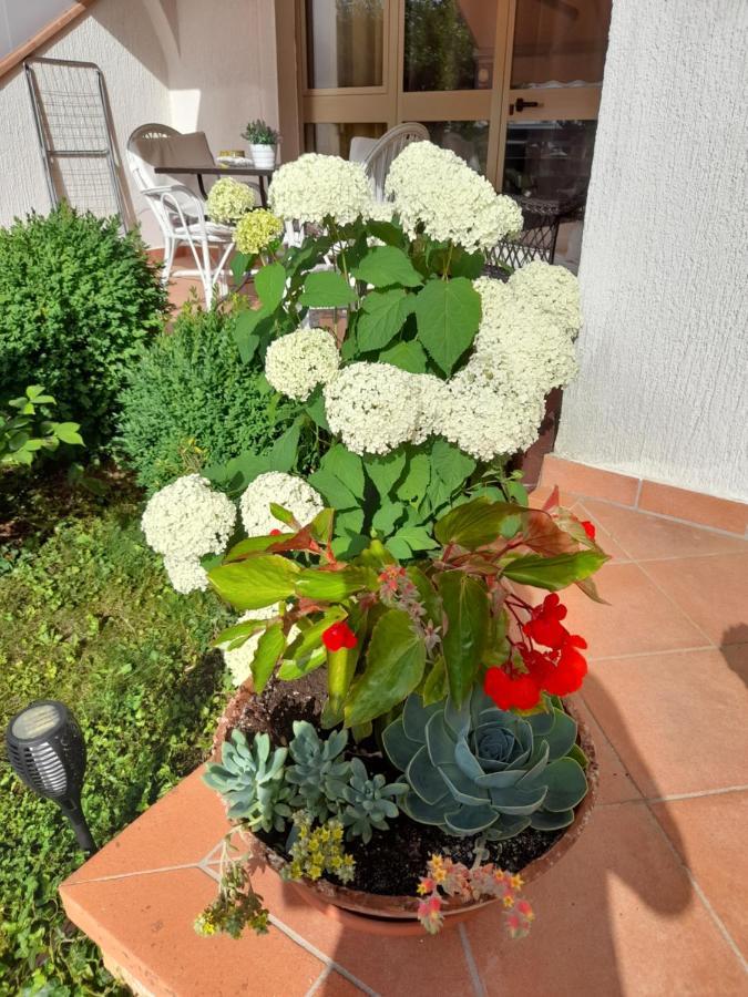 Villa Iva Poreč Eksteriør billede